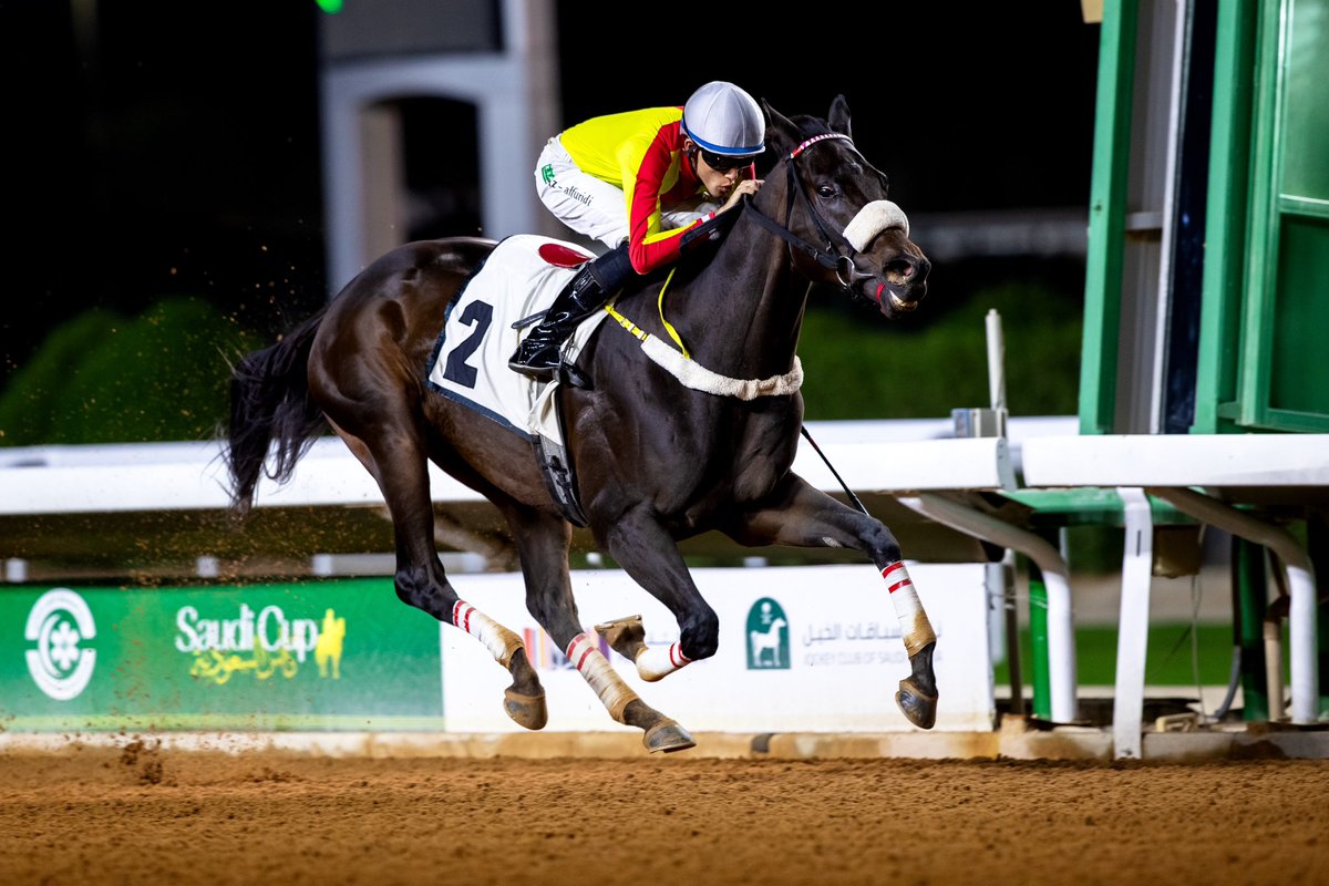 JockeyClub_SA's tweet photo. نتيجة الشوط الـ 6 الحفل ( 61 ) 

◻️الفائز : الكفو
◻️المالك : سعد بن علي بن بدن السبيعي
◻️المدرب : بدن السبيعي
◻️الخيال : عبدالعزيز الفريدي
◻️المسافة : 1400م

#نادي_سباقات_الخيل 🐎 https://t.co/9v5A3NZOp5