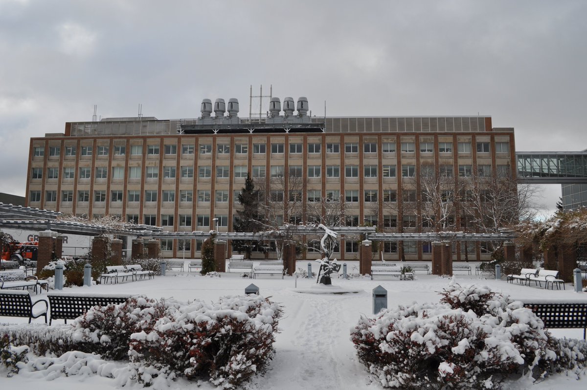 MSU Biochemistry & Molecular Biology tweet media