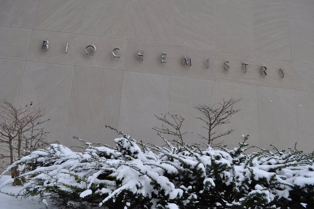 Bundle up today, biochemists! 🌨️☃️