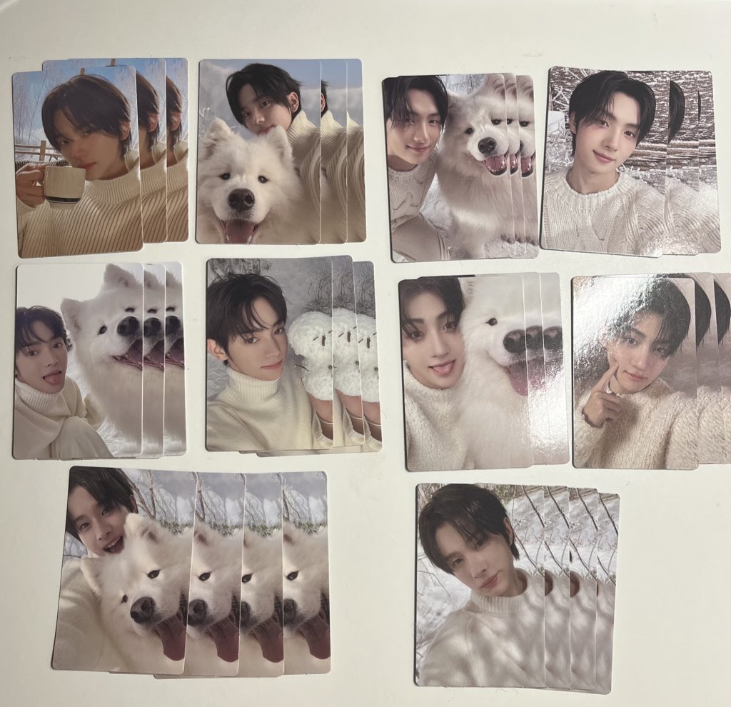 whtbdk12's tweet photo. 【 TWS トレカ 交換 】

求)同種ドフン(出来れば複数枚)

譲)画像(compact verとweverse🇯🇵ver)

シニュ ドフン ヨンジェ ハンジン ジフン ギョンミン トゥアス 交換 トレカ https://t.co/Yv0dABbi67