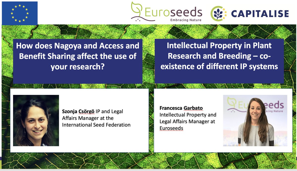 Complying with the #Nagoya Protocol, as well as applying for #IP right protection are important aspects for #plant scientists. CAPITALISE and Euroseeds co-organised two expert led webinars.  These are now ready to view on capitalise.eu/the-nagoya-pro… #translation