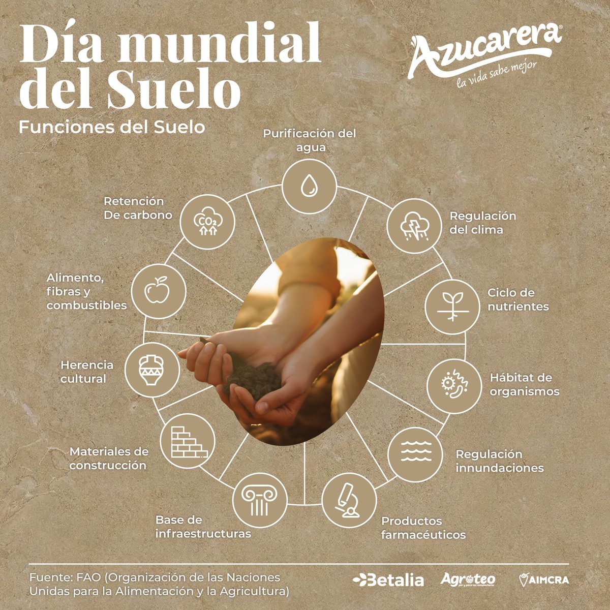 Según la FAO, prácticas como la rotación de cultivos, mejoran la salud del suelo, la infiltración y almacenamiento del #agua💧
🌱La remolacha👇 
✅combate el cambio climático
✅contribuye a la #sostenibilidad
✅crea tejido social y económico en zonas rurales
#DíaMundialdelSuelo💚