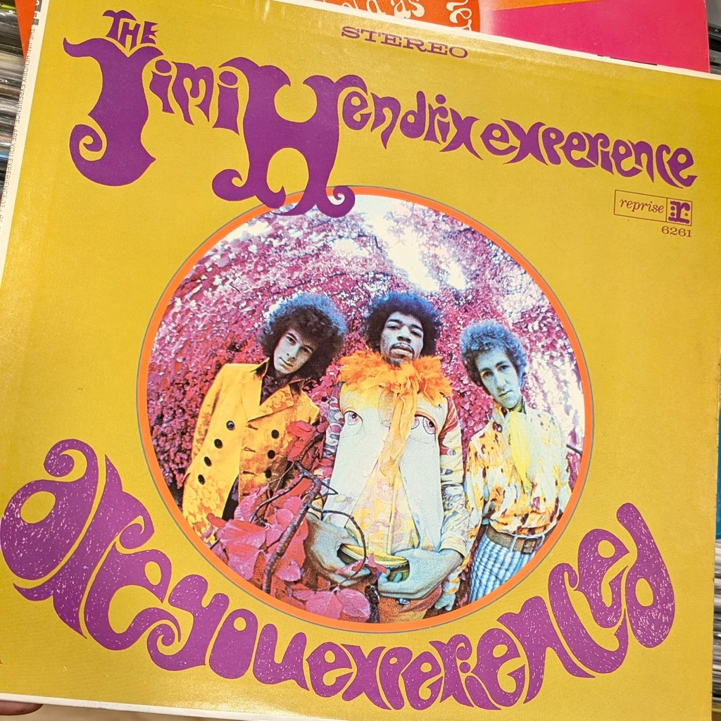 Dig Vinyl tweet media