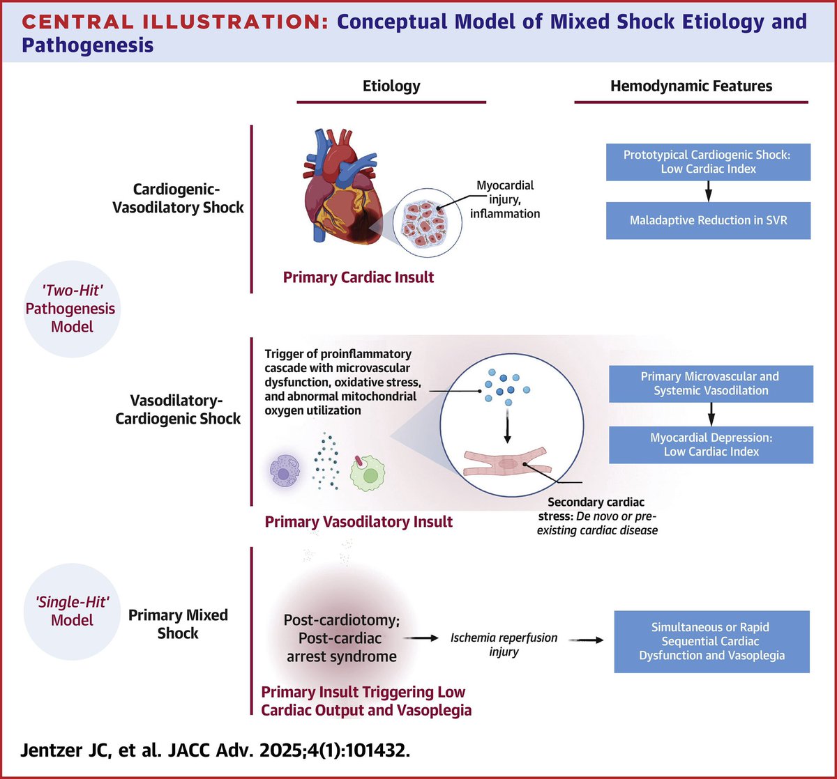 Saraschandra Vallabhajosyula, MD MSc tweet media