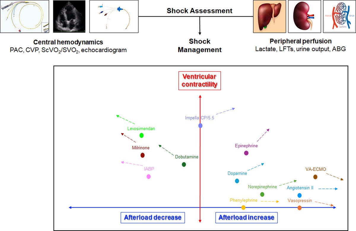Saraschandra Vallabhajosyula, MD MSc tweet media
