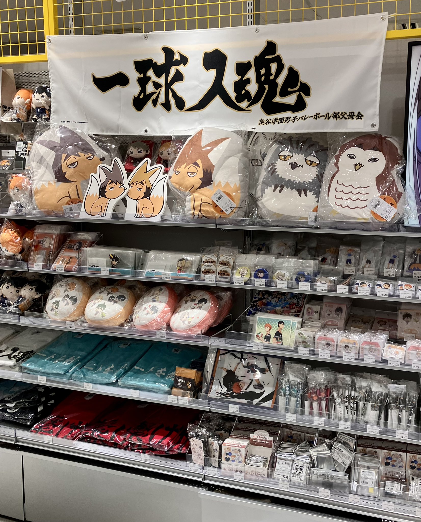 ナツです。(ハイキュープラザの商品) ナツです。(ハイキュープラザの商品) ナツです。(ハイキュー