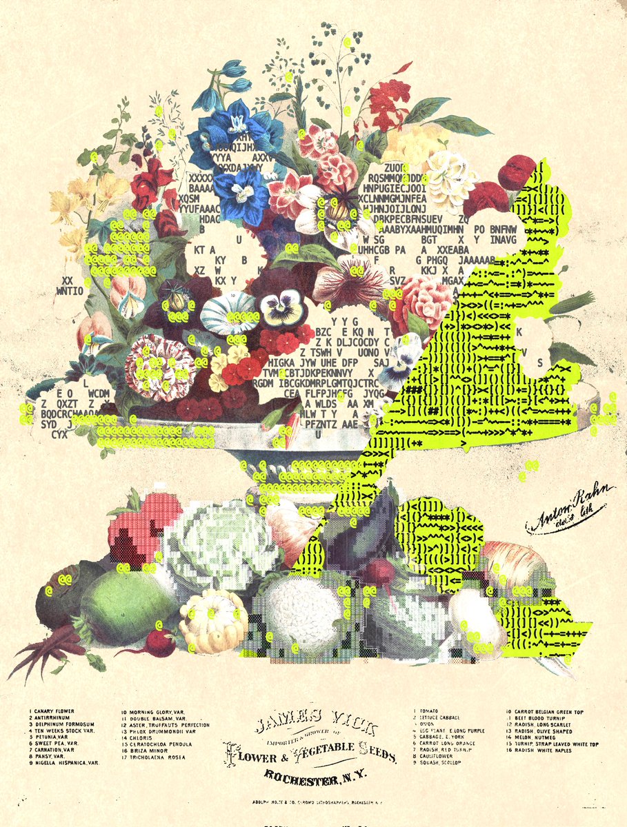 enigmatriz tweet media