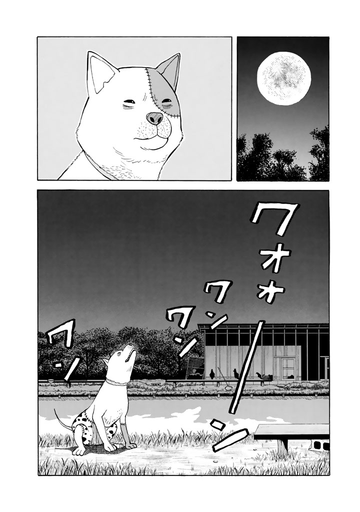 ワフッ(誰にでもいつか"目覚め"の刻が来る……!!!(22/22))

⇩12月12日(木)まで3巻無料!⇩
https://t.co/Nf2BqmE9G7

#BECK #月マガ基地 #月刊少年マガジン #漫画が読めるハッシュタグ 