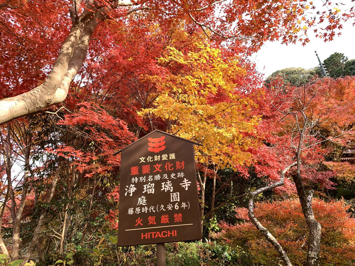 mie7000's tweet photo. 浄瑠璃寺🍁 https://t.co/Qc1DZLBxwG