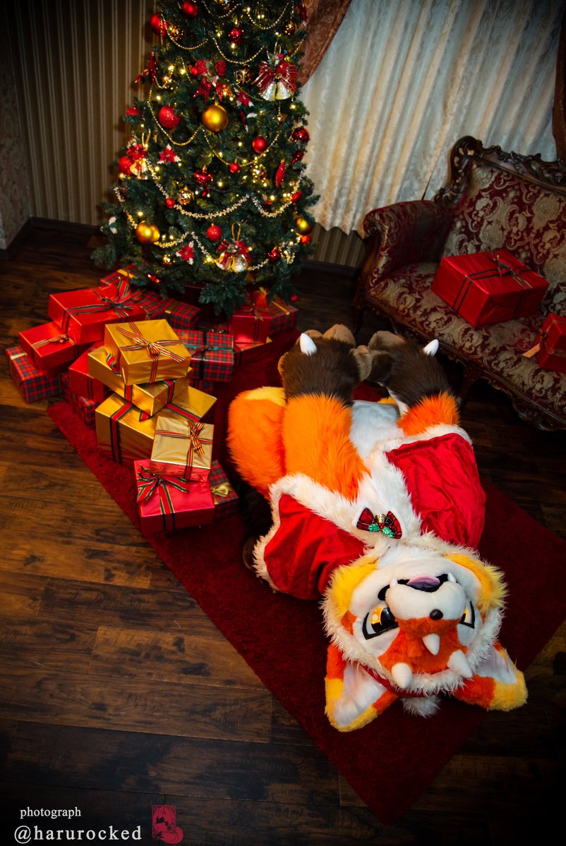 moonwolfen's tweet photo. 🦊🐉「クリスマスま〜だ〜⁇」

※まだです
#FursuitFriday https://t.co/htw7wCcpGn