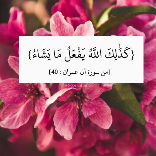 {كَذَٰلِكَ اللَّهُ يَفْعَلُ مَا يَشَاءُ}

#الجمعة #ليلة_الجمعة #الصلاة_على_النبي
#اللهم_صل_وسلم_على_نبينا_محمد
<a href="/sh_Alshaamsi/">شما الشامسي🇸🇦🇦🇪</a> <a href="/Ald3wah/">ريتويت دعوي</a> <a href="/KH__alghamdi/">💦🇸🇦أم عاصـ❤️ـم🇸🇦⚡️❄️</a> <a href="/fa7ad1live/">#قافلة_الخير</a> <a href="/reeema_2010/">•!¦[•( ريما)•]¦!•‏‎</a> <a href="/otaibimo511/">أحب الله ورسولهﷺ ♡</a> <a href="/tmam_20121/">‏Rtwit™️ 🇸🇦</a> <a href="/alahlaam__16/">لاترحل بلا أثر</a> <a href="/ASallah2003/">ابو فراس 🕊</a> <a href="/hesaah77/">حصه عبدالعزيز</a>