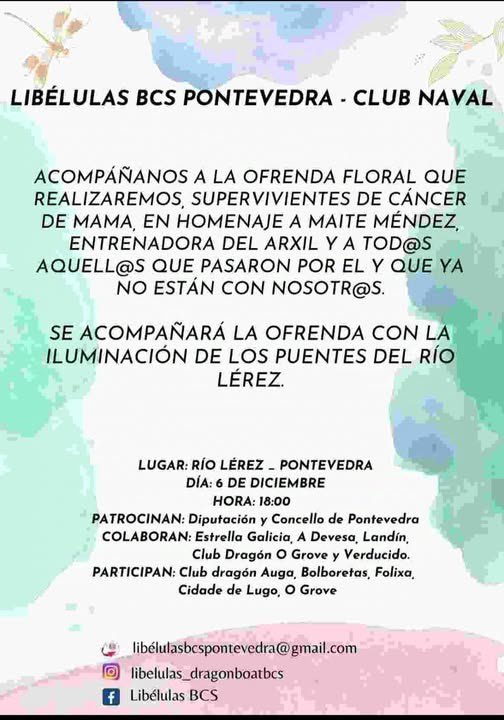 ArxilCb's tweet photo. Como cada año, las chicas de Libelulas BCS, celebran su tradicional ofrenda floral en recuerdo de las mujeres diagnosticadas con cancer de mamá y en esta ocasión lo harán en homenaje a nuestra querida Maite Méndez. https://t.co/JSnTd4G24t