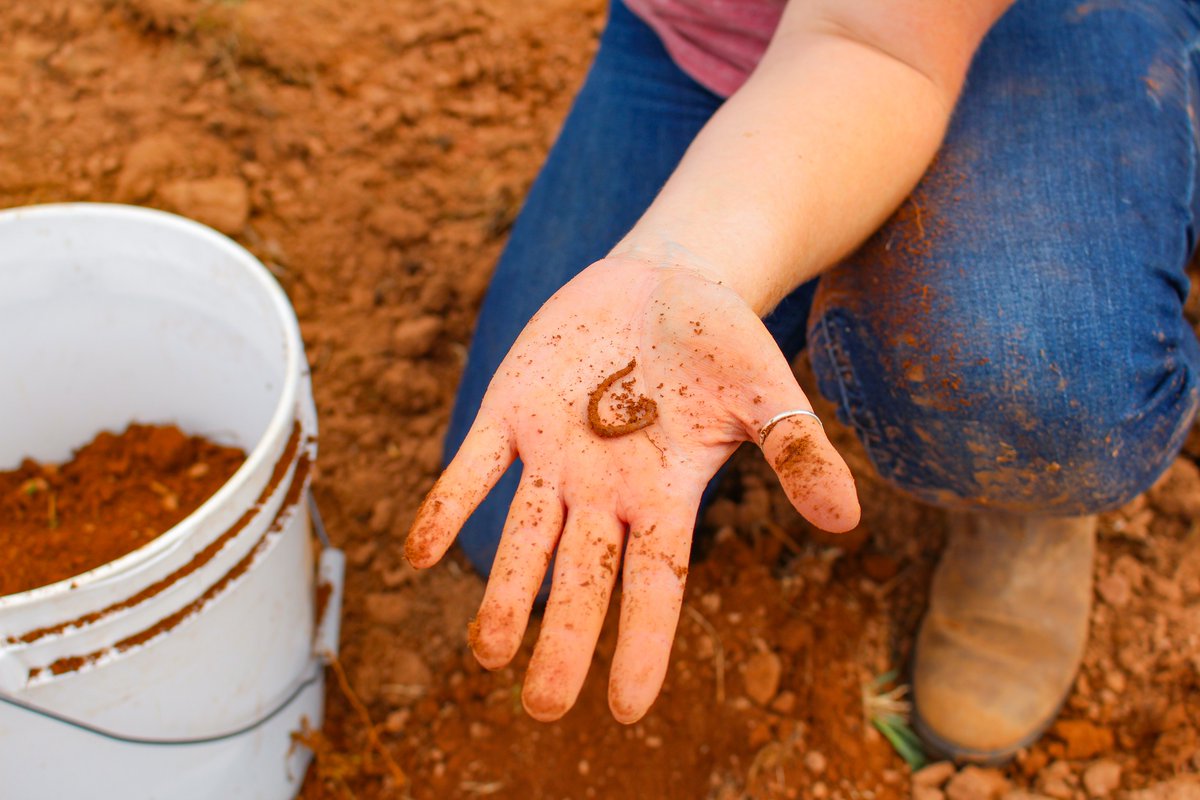 PEI Federation of Agriculture tweet media