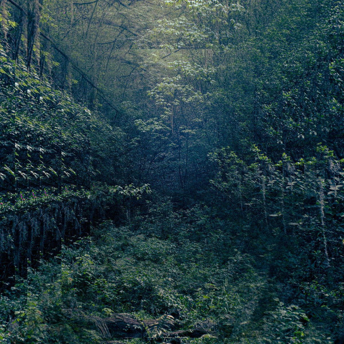 Hoy estrenamos “FUERA DE CASA” nuestro primer material de larga duración, disponible en todos lados!

open.spotify.com/album/6NMcld4A…