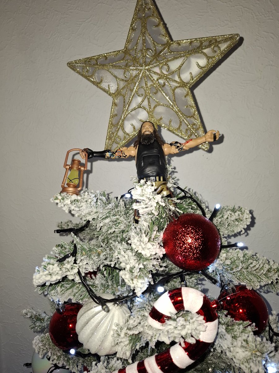 #BrayWyatt #windhamrotunda