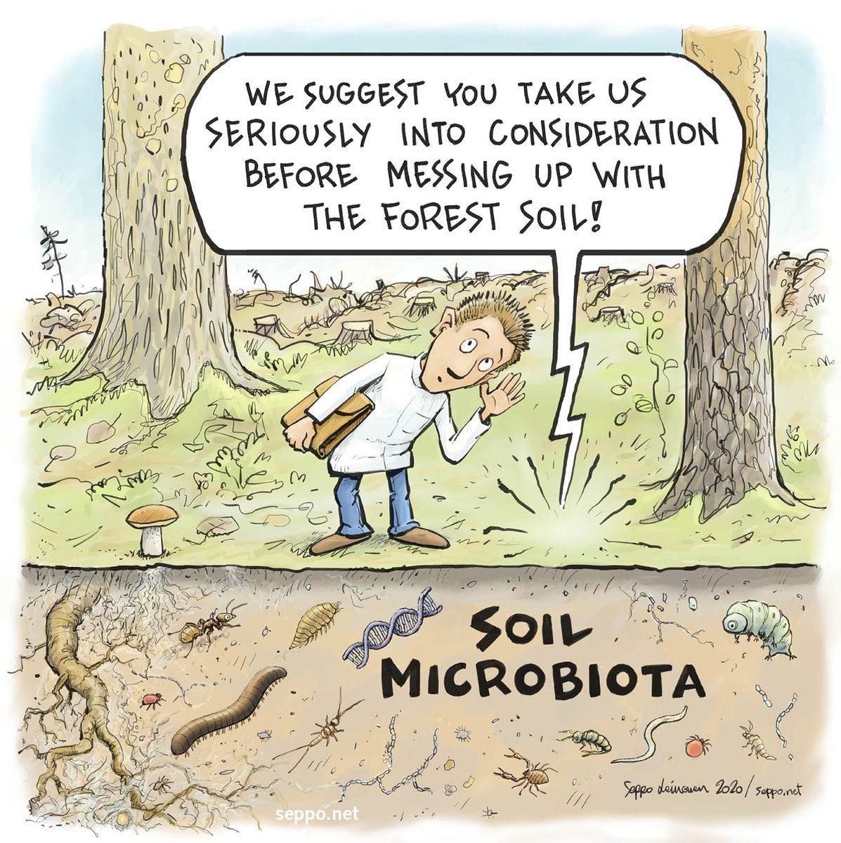 sepponet's tweet photo. Healthy #soil is full of life! 
Better not mess around with it.
#WorldSoilDay #forestsoil #HoliSoils #fertilizers #herbicides #pesticides #ClearCut https://t.co/cbEuRWqVK2