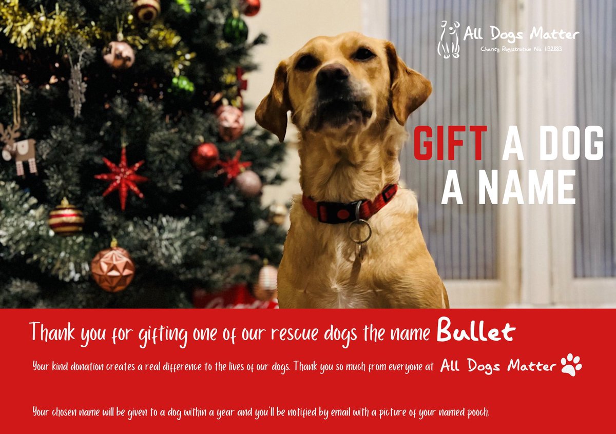 ADAonSOL's tweet photo. Day 254 of 300! We just named our 254th rescue dog โBulletโ Inspired by @bulletxyz 46 Rescue Dogs to Go! ๐ถ #Charity #300DogMission #ForAda #ADASOL
*PLEASE NOTE THIS IS A CERTIFICATE. TO SEE THE REAL LIFE DOGS. PLEASE VISIT @AllDogsMatter WEBSITE. THESE ARE USUALLY AVAILABLE WHEN HE/SHE GOES UP FOR ADOPTION* ๐ถ๐ โค๏ธ