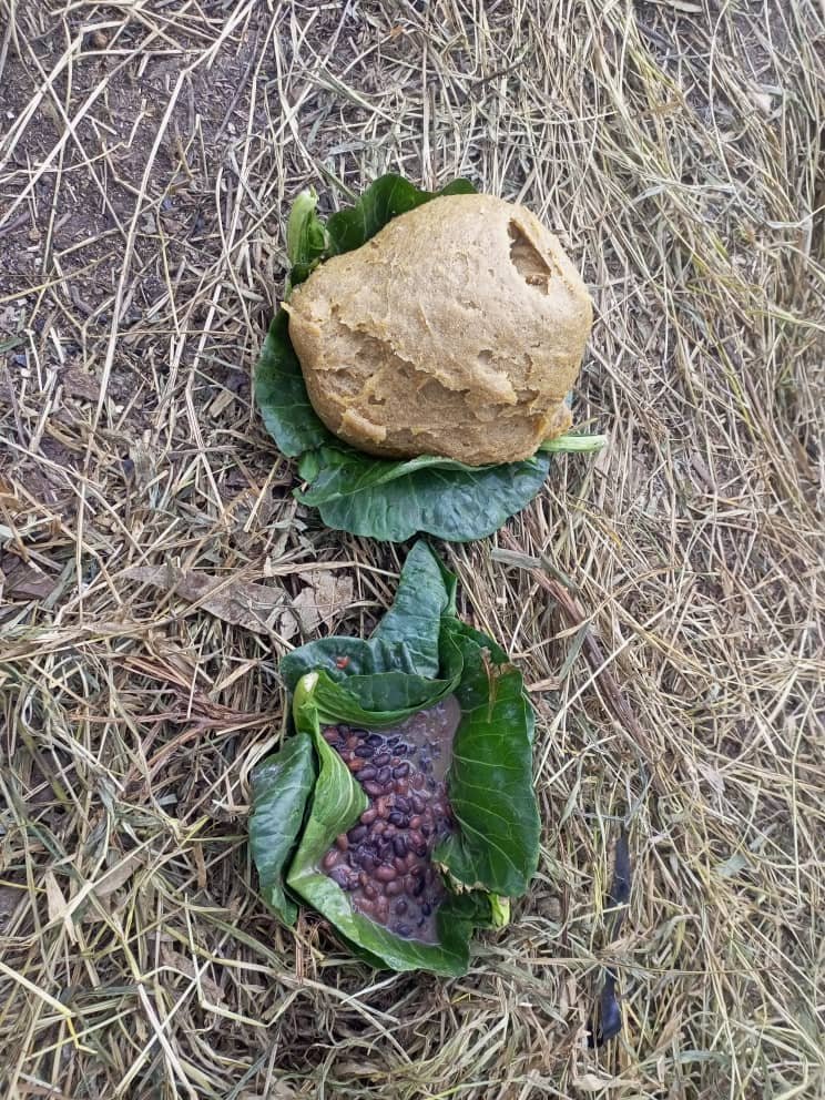 Ewe patriote torurye uravuga nabi uriko ukorera indaya yawe abatutsi bakugiziki imvanguramoko ntaco rizogushikana kimwe uzogwara mumutwe, usa nuwuraho yitwa Kaburungu bamabajije ati kaburungu waraciye muri kaminuza ati nubu ndahaciye ngiye munyakabiga