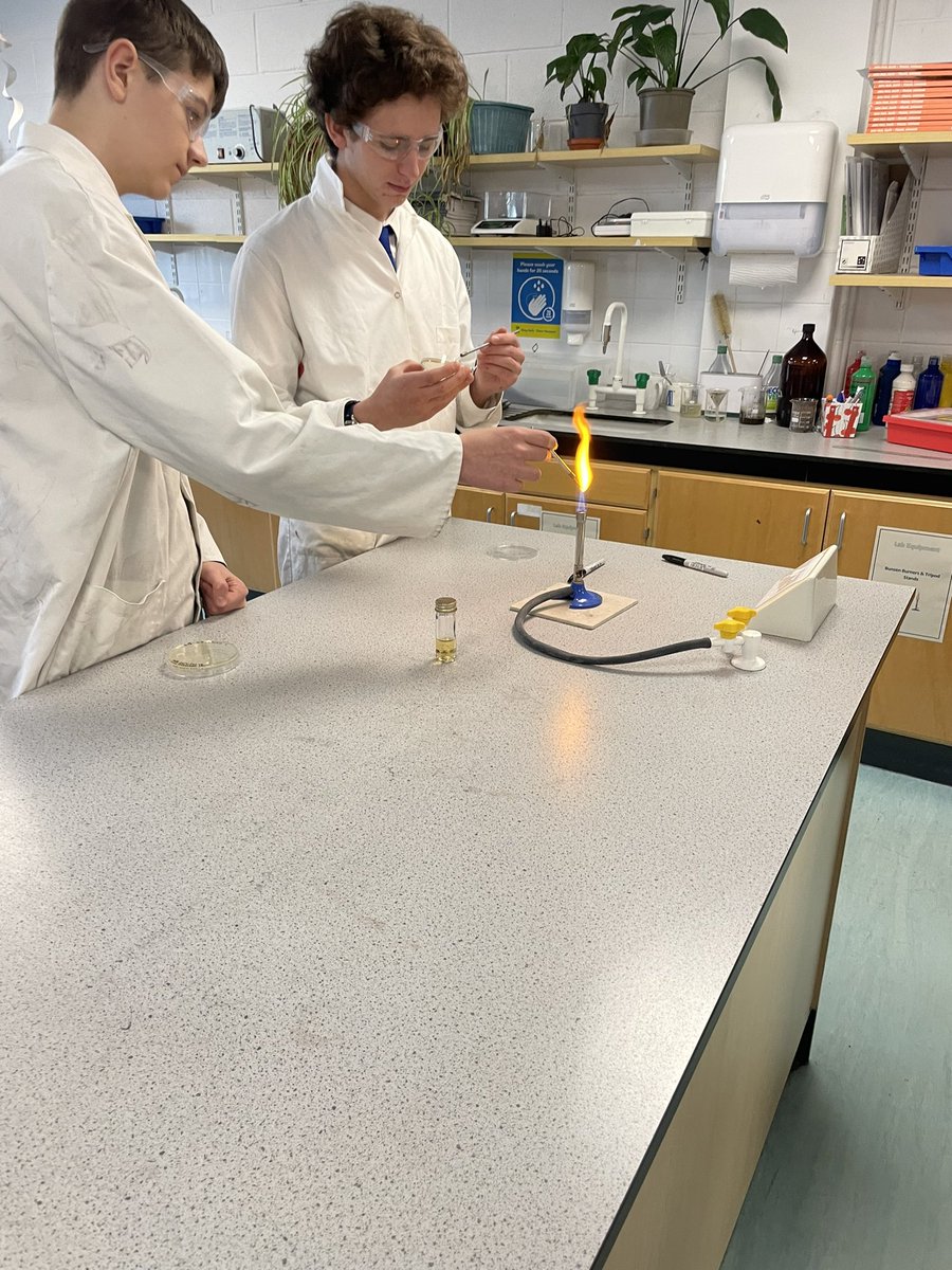 TCSoA Science tweet media