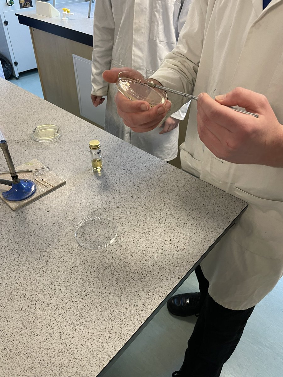 TCSoA Science tweet media