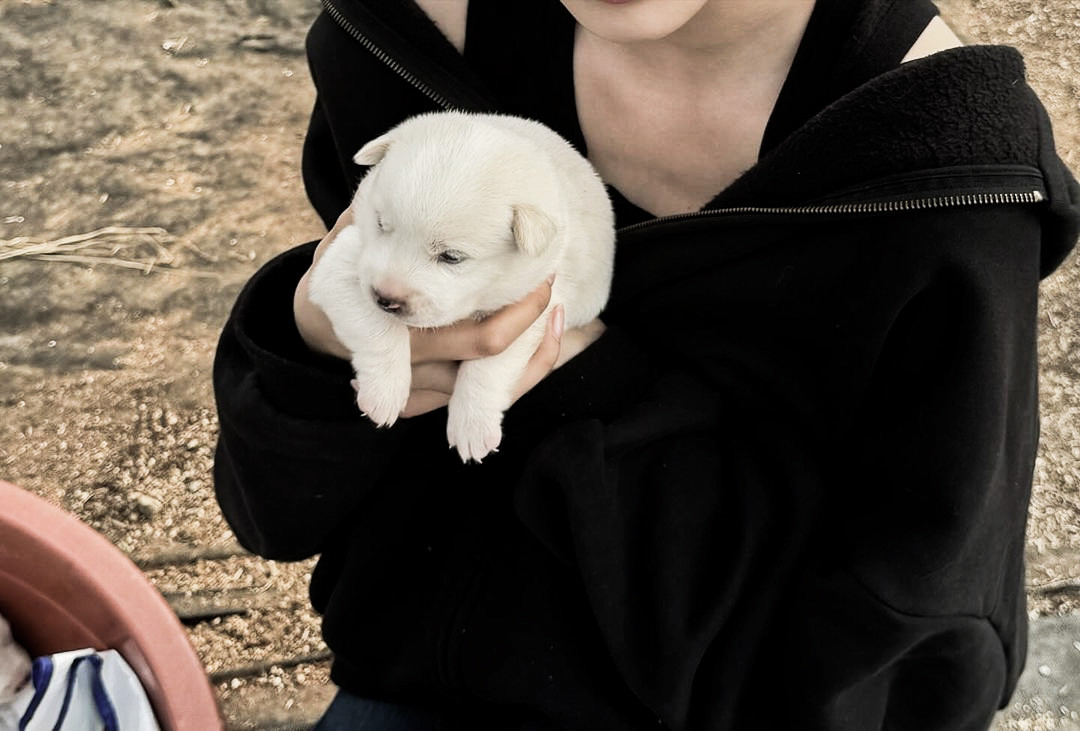 ㅤ‣ㅤ 𝑎 𝑣𝑖𝑒𝑤 𝑓𝑢𝑙𝑙 𝑜𝑓 𝑡𝑟𝑎𝑛𝑞𝑢𝑖𝑙𝑖𝑡𝑦.