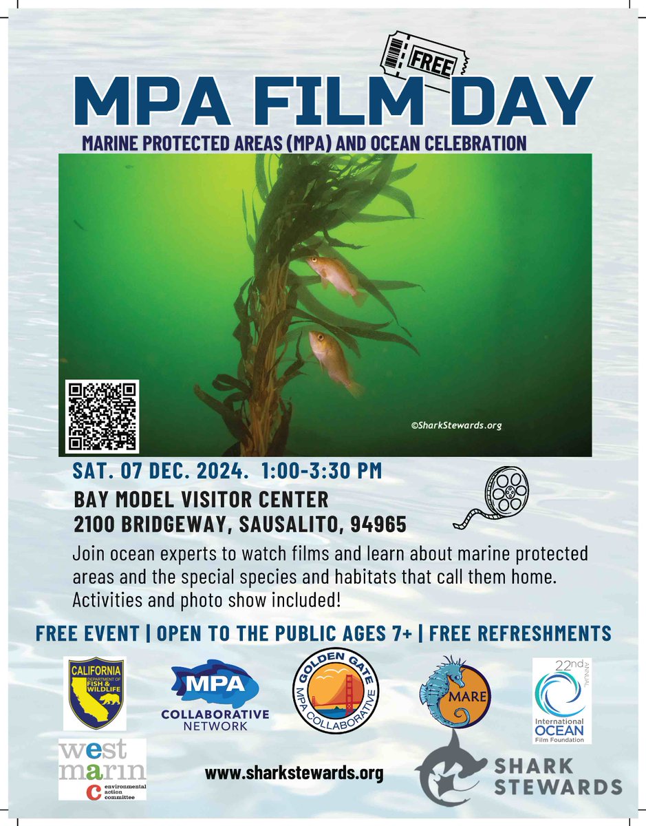 David McGuire, SHARKSTEWARDS (@sharkstewards) on Twitter photo 