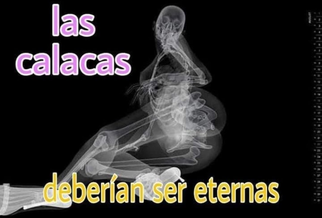💀 Esqueleto Posteo 💀 tweet media