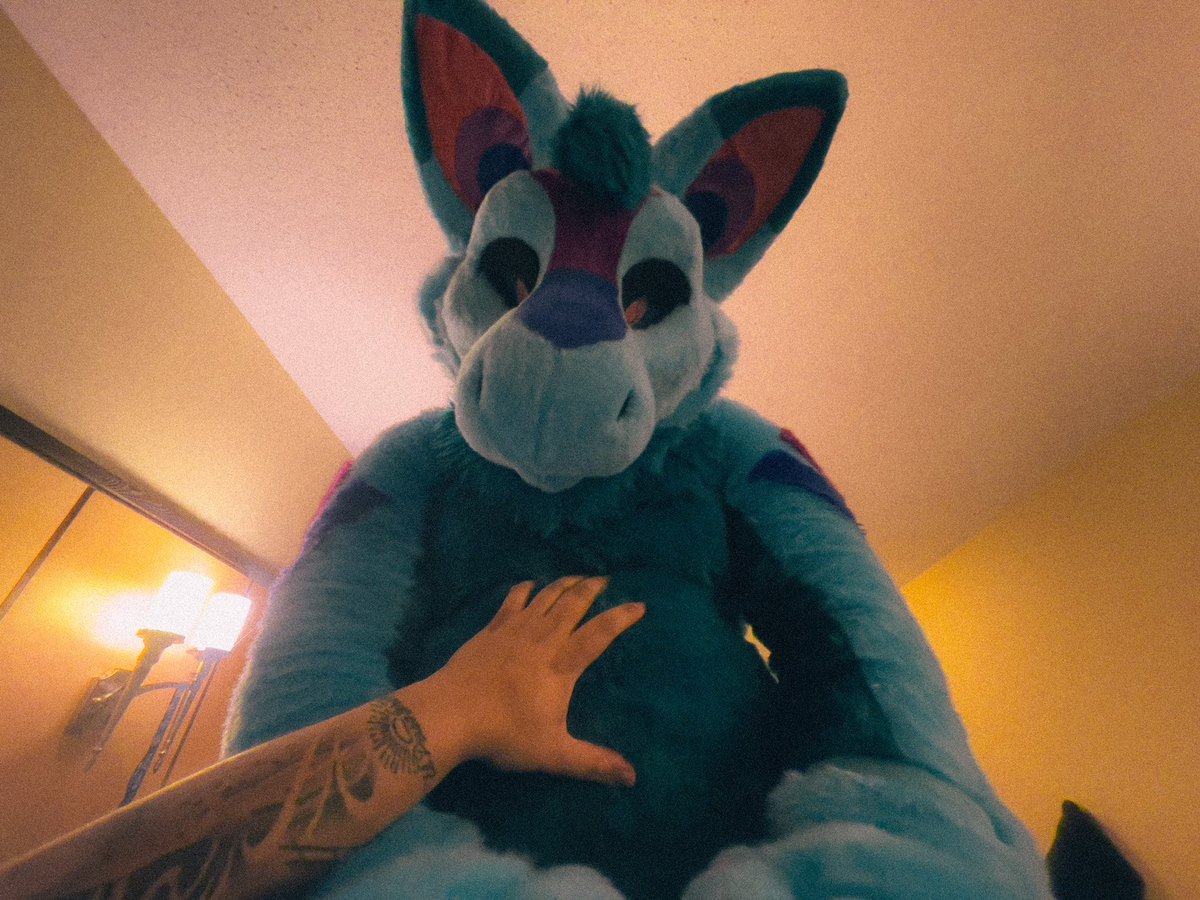 Matte_Wolf's tweet photo. He sat on my lap and proceeded to tell me how scary he was. @BubBytes https://t.co/4jjks3u8xh