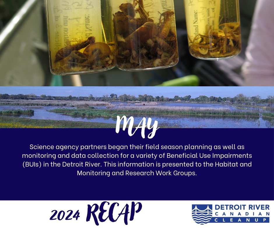 What a year 2024 has been! Follow along for a recap of our favourite memories.

In May science agency partners began their planning and in river monitoring and data collection for a variety of BUIs.