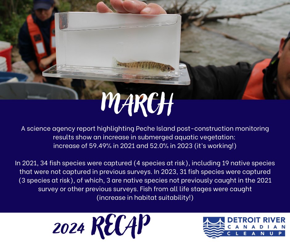 What a year 2024 has been! Follow along for a recap of our favourite memories. 

In March the DRCC received a science agency report showing an increase in submerged aquatic vegetation in 2021 and 2023 at Peche Island, as well as new species captured in fish surveys!