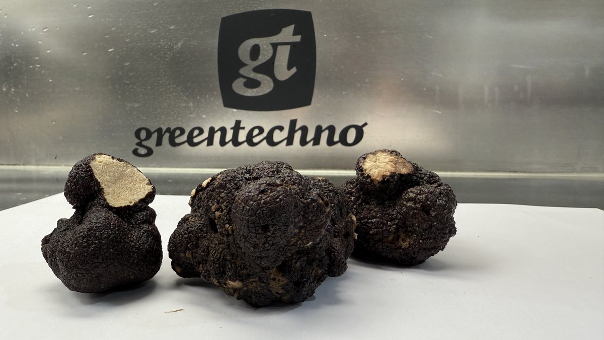 infogreentech's tweet photo. Más pruebas = Más resultados.
Seguimos avanzando en el mundo de las Trufas.! 
.
Greentechno Ultrasonidos. 
💻 Más info en nuestra web

#Truffe #NettoyageTruffes #TruffeBlanche #TruffeNoire #RécolteTruffes #TruffesFraîches https://t.co/OSm0ZMh5Eb