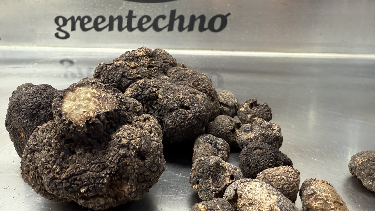infogreentech's tweet photo. Más pruebas = Más resultados.
Seguimos avanzando en el mundo de las Trufas.! 
.
Greentechno Ultrasonidos. 
💻 Más info en nuestra web

#Truffe #NettoyageTruffes #TruffeBlanche #TruffeNoire #RécolteTruffes #TruffesFraîches https://t.co/OSm0ZMh5Eb