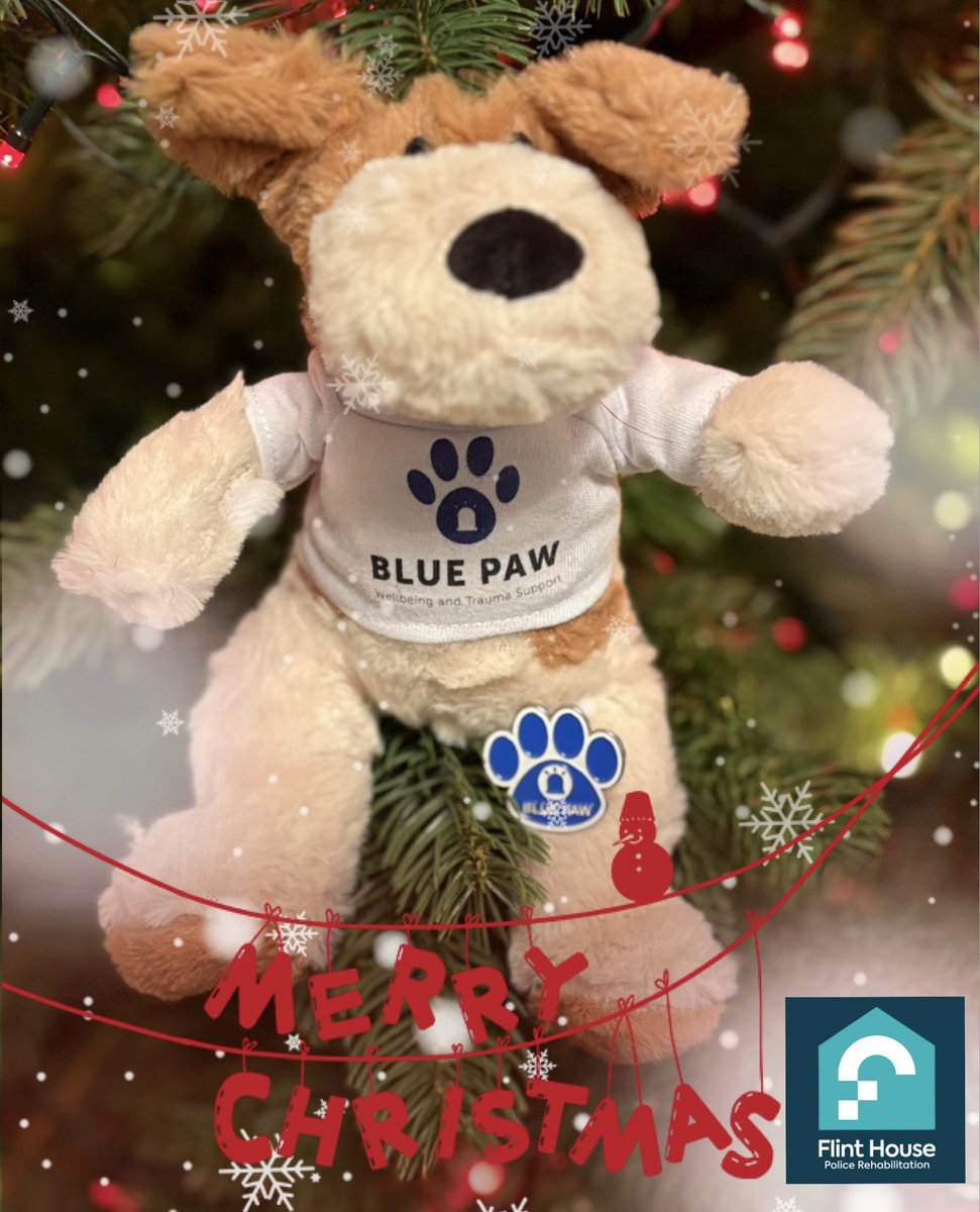 @BluepawWB (@bluepawwb) on Twitter photo Everyone wants a Holly Dog for Christmas, Cuddly Holly Dog and badge at a special price of £10 including postage. All Holly dogs provide a donation to Flint House Police Rehabilitation, paul.roe@bluepaw.co.uk or via our web page bluepaw.co.uk <a href="/FlintHouseRehab/">Flint House Police Rehabilitation®</a> Everyone wants a Holly Dog for Christmas, Cuddly Holly Dog and badge at a special price of £10 including postage. All Holly dogs provide a donation to Flint House Police Rehabilitation, paul.roe@bluepaw.co.uk or via our web page bluepaw.co.uk <a href="/FlintHouseRehab/">Flint House Police Rehabilitation®</a>