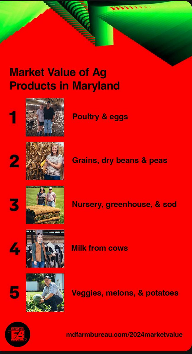 FarmBureauMD's tweet image. Nobody cares about your Spotify Wrapped.

What's your Agricultural Market Value Wrapped?