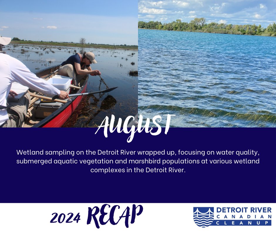 What a great year 2024 has been! We are sharing some of our memories before the holidays begin. 

In August wetland sampling on the Detroit River wrapped up, focusing on water quality, submerged aquatic vegetation and marshbird populations at different sites.