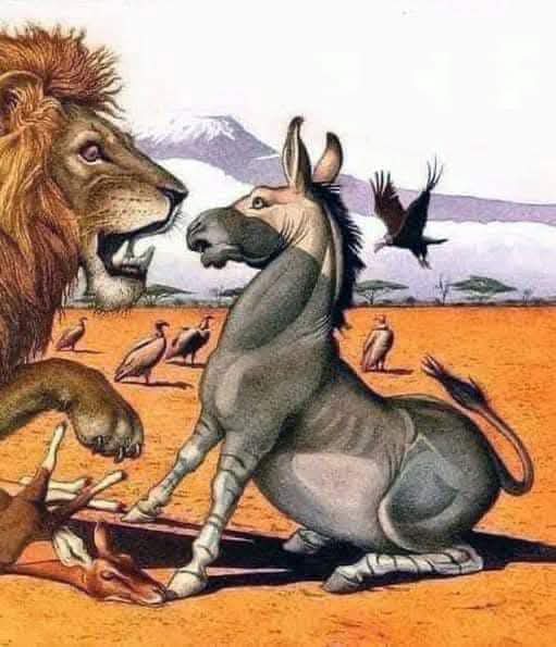 MemesSV7's tweet image. NO DISCUTAS CON BURROS
El burro le dijo al tigre: "La hierba es azul. "
El tigre respondió: "No, la hierba es verde. "
La discusión se calentó, y los dos decidieron someter el asunto a arbitraje. Fueron ante el león, el Rey de la Jungla.
Antes de llegar al claro del bosque donde…