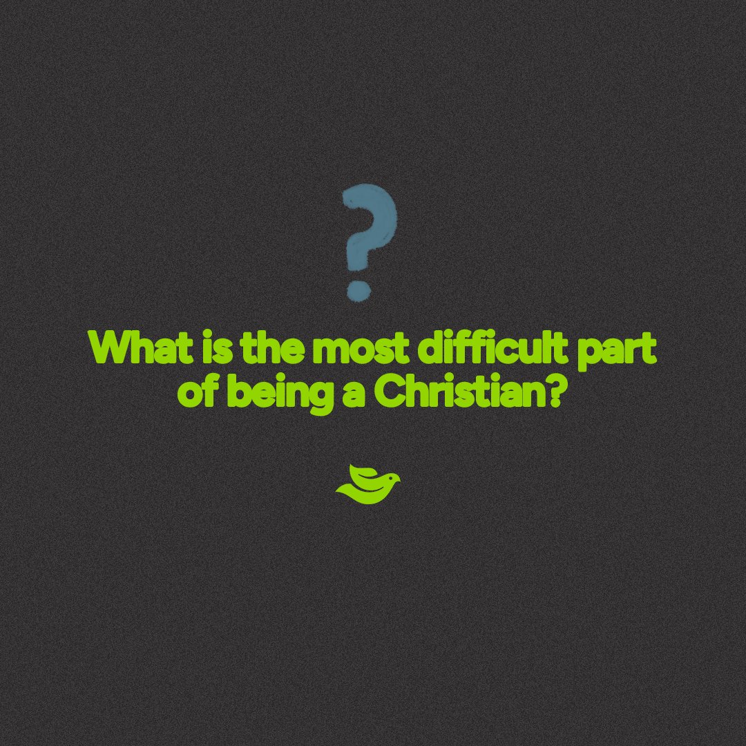 LifeStone Ministries tweet media