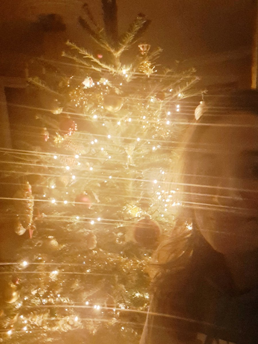 When you try to post your Xmas tree but your camera produces effect 😅 #Christmas