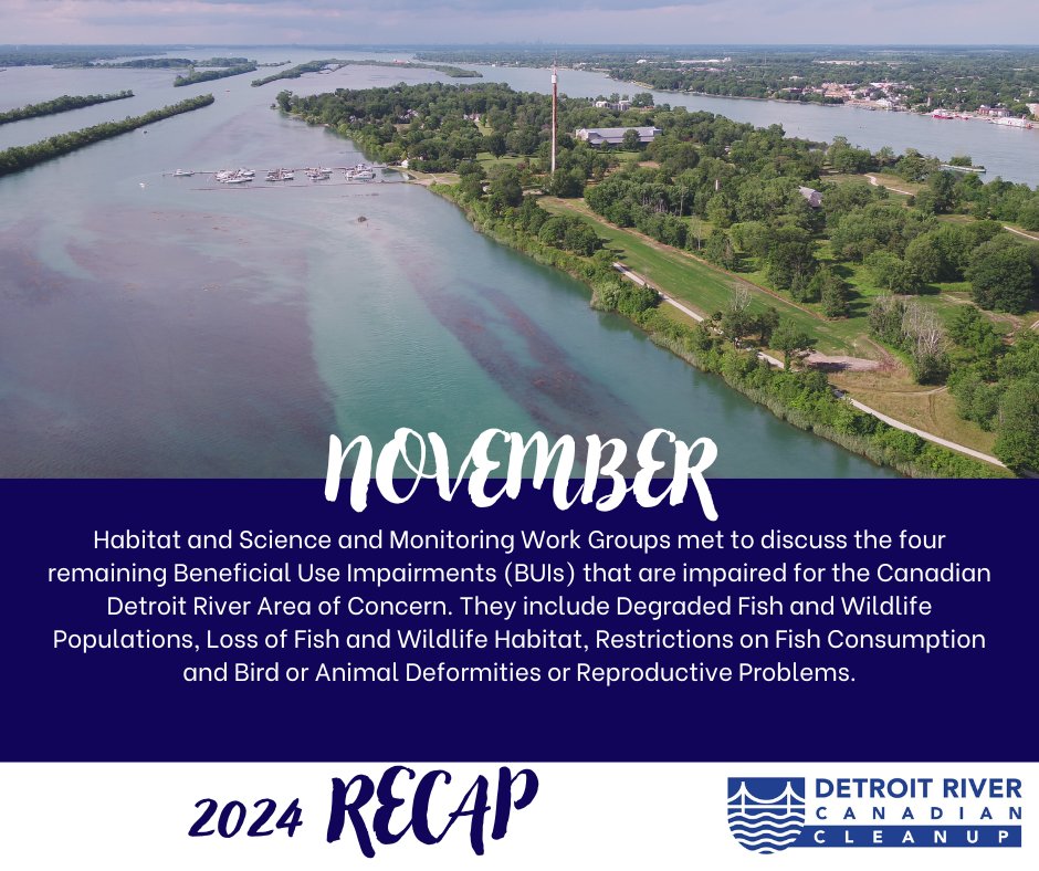 As part of our 2024 recap, we can't forget about November! 

The Habitat and Science and Monitoring Work Groups met to discuss the four remaining BUIs that are impaired for the Canadian Detroit River Area of Concern.
