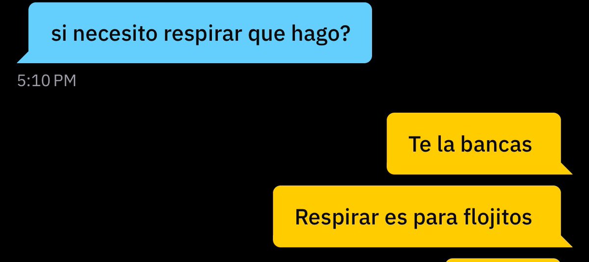 Boludeces no