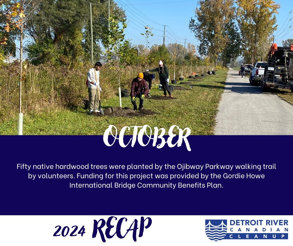 We're almost through with our 2024 recap! 

In October fifty native hardwood trees were planted by the Ojibway Parkway walking trail by volunteers. Funding for this project was provided by the Gordie Howe International Bridge Community Benefits Plan. <a href="/GordieHoweBrg/">Gordie Howe International Bridge</a>