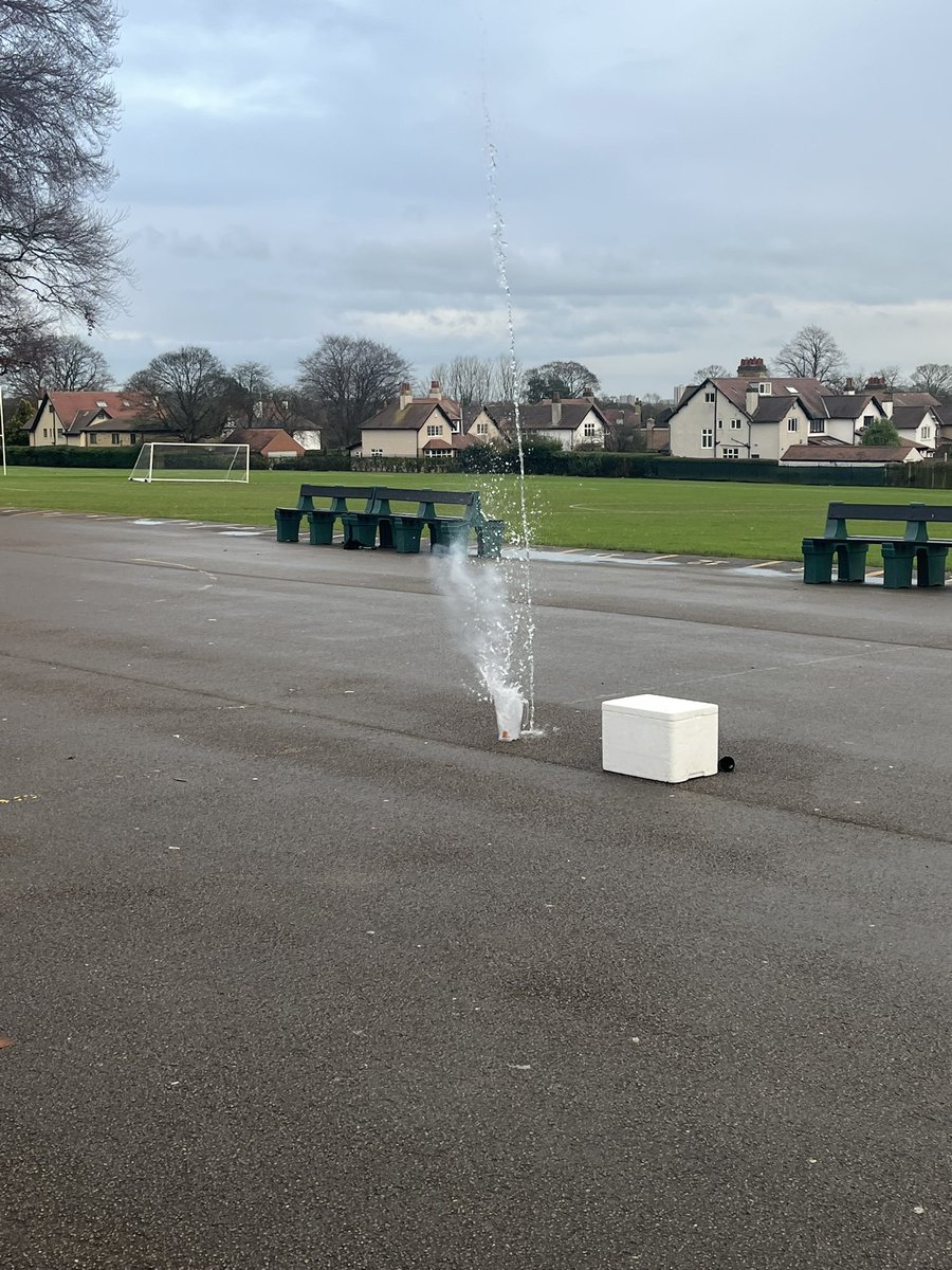 Roundhay Year 8 tweet media