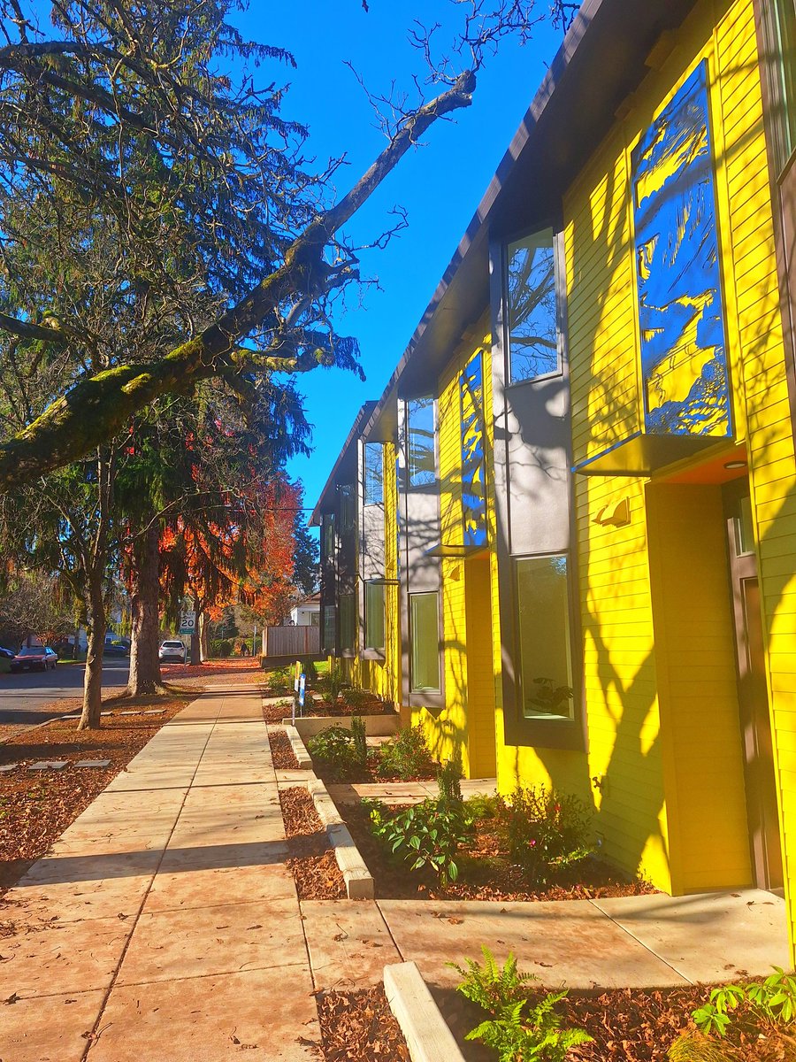 RoseCityWeb3 🌹🛡 tweet media