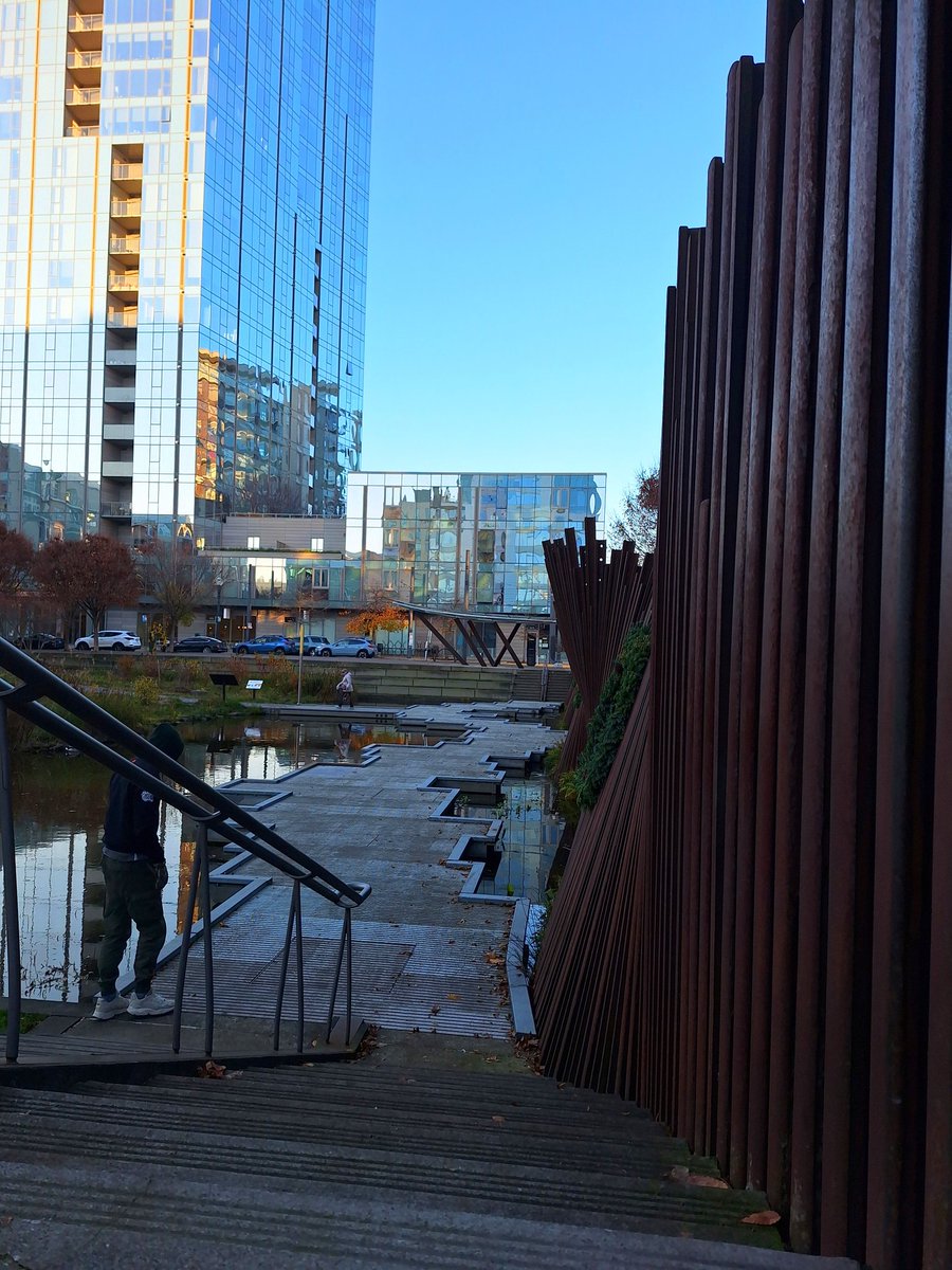 RoseCityWeb3 🌹🛡 tweet media