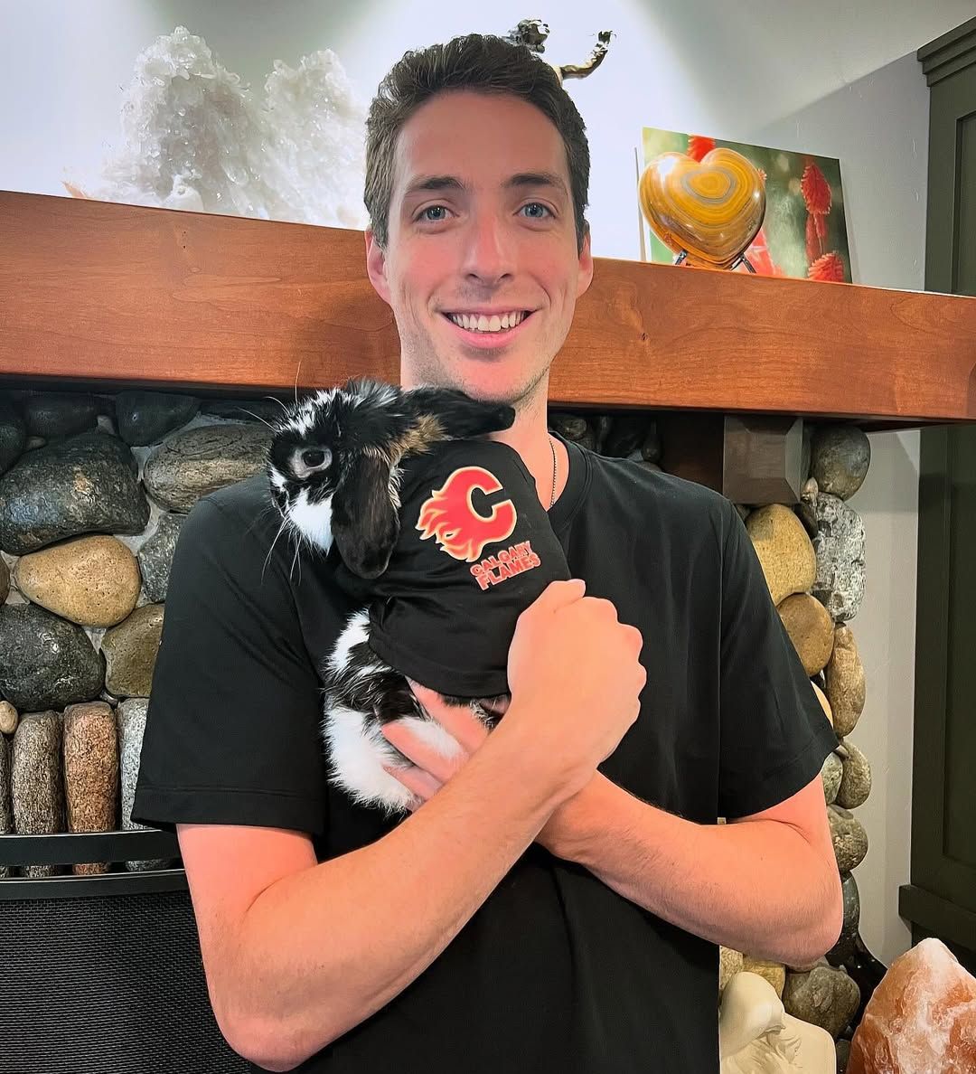 Parachutes For Pets tweet media