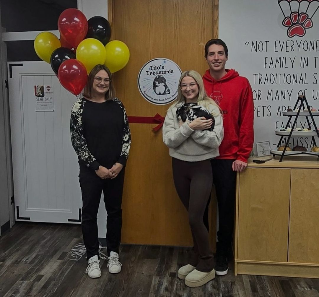 Parachutes For Pets tweet media