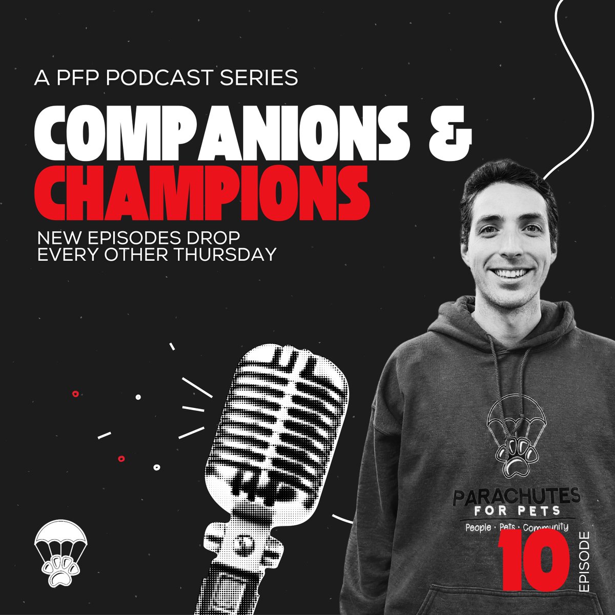 Parachutes For Pets tweet media