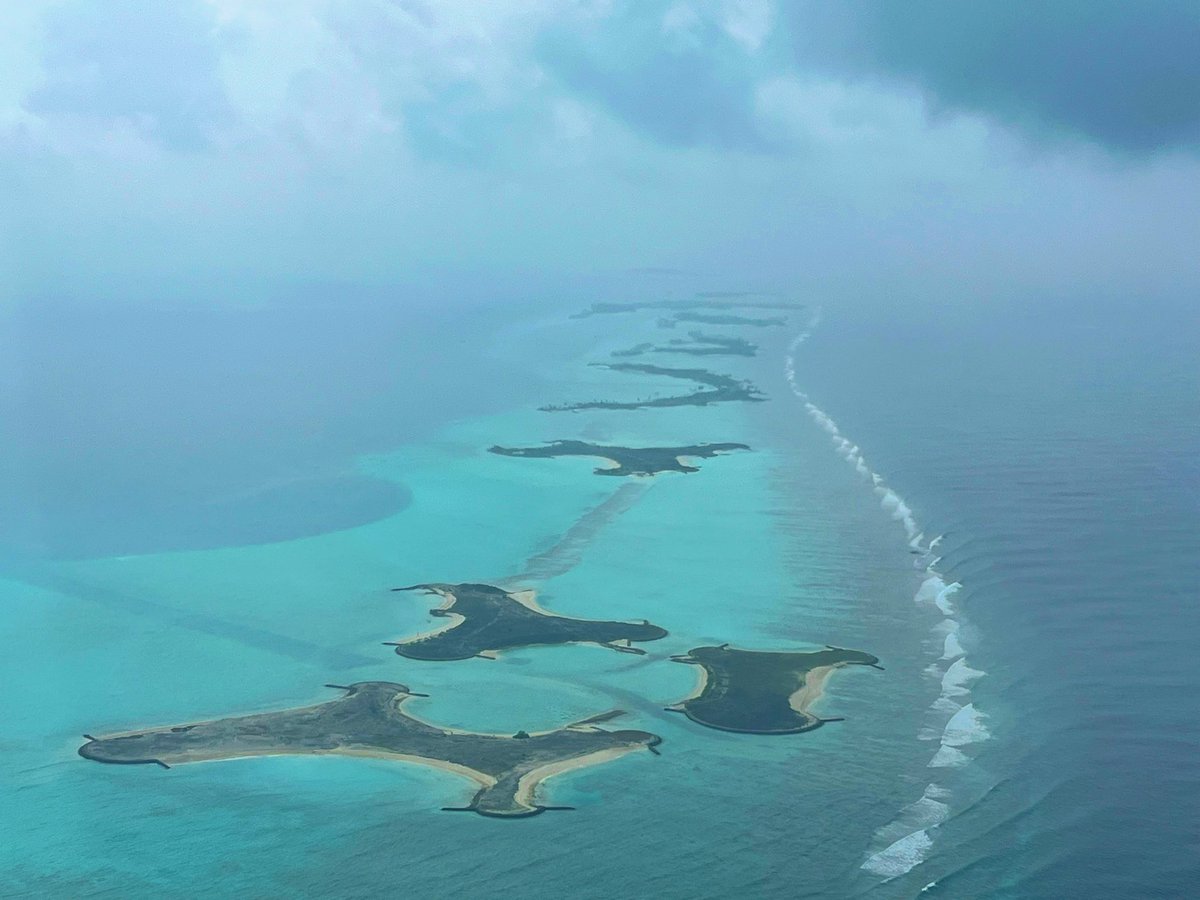 RWA cryptocurrencies like $PRDS are set to surge! Why? 

Because we bridge the gap between tangible assets and the digital economy, offering stability and real-world value. 

Get ready for a wave of growth as investors flock to the security and potential of tokenized real-world