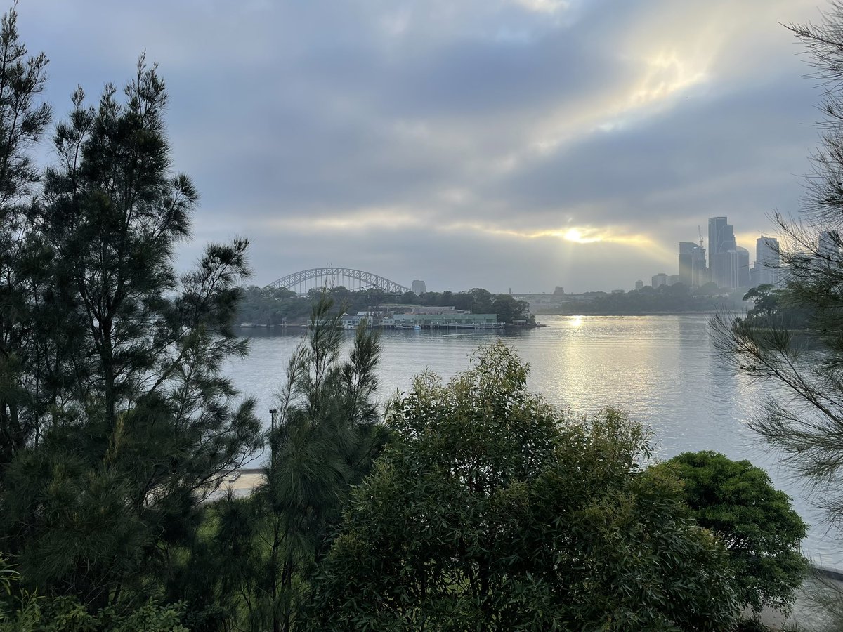 Bundogs's tweet photo. Out and about early enjoying public access to the foreshore and surrounds #ballastpointpark #killerviews #publicopenspace https://t.co/pH656HwBRc