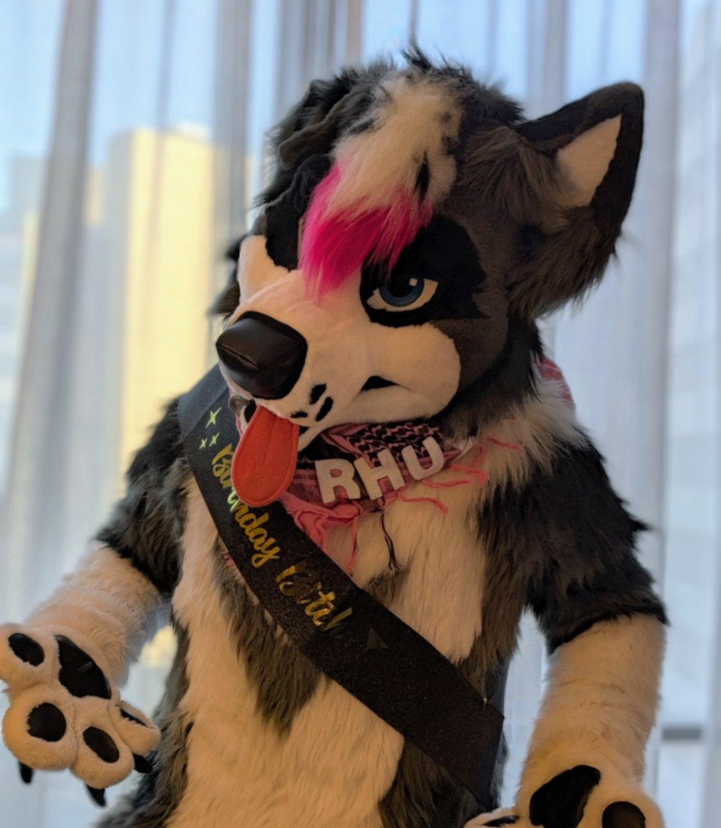 Rhux Collie tweet media
